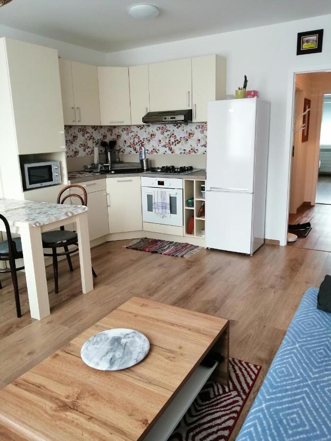 Slavik Apartment Dunajská Streda المظهر الخارجي الصورة