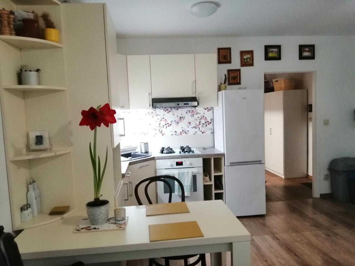 Slavik Apartment Dunajská Streda المظهر الخارجي الصورة